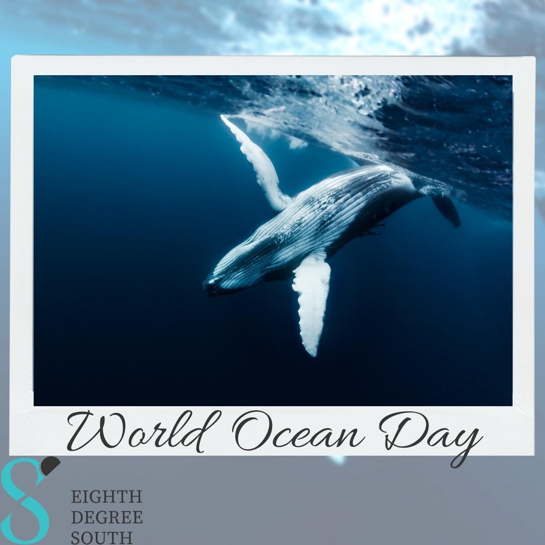World Ocean Day Image 5